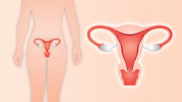 Best For Uterus Removal Surgery In Kalwa